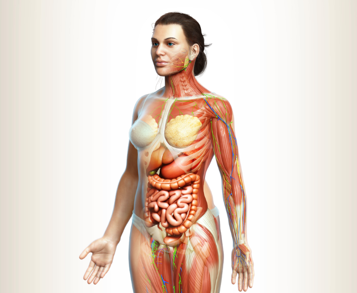 Westrick clinic westrick clinic womens health - menopause westrick clinic